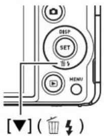 CASIO Exilim High Speed ZR10 - Using Flash (Flash) - 1