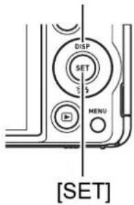 CASIO Exilim High Speed ZR10 - Using the Control Panel - 1