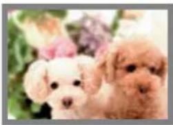 CASIO Exilim High Speed ZR10 - Image Size Selection Tips - 1