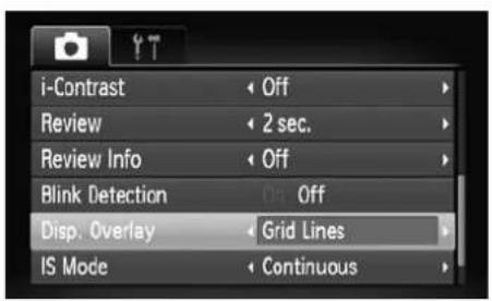 CANON IXUS 110 IS - Displaying the Overlay - 1