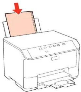 EPSON WorkForce Pro WP-4095 - Product Information - 2