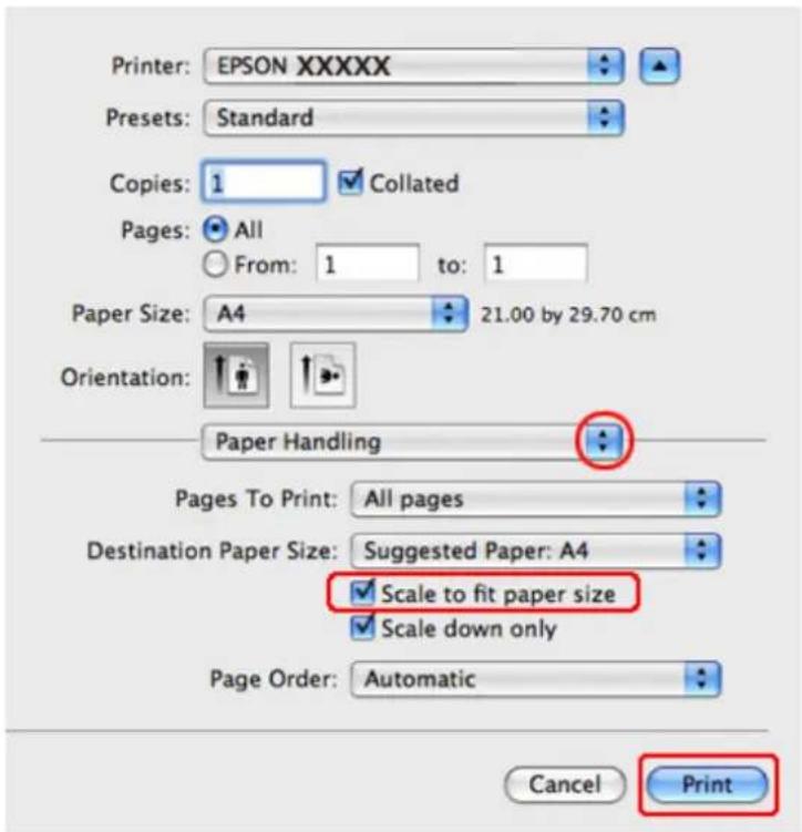 EPSON WorkForce Pro WP-4095 - Printer settings for Mac OS X 10.5 or 10.6 - 1