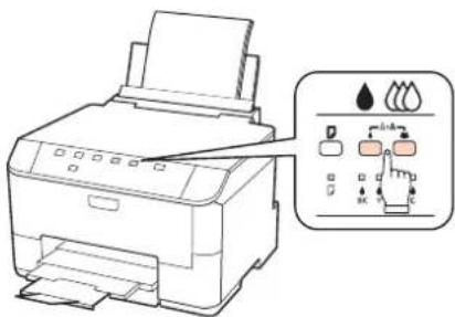 EPSON WorkForce Pro WP-4095 - Using the printer buttons - 1