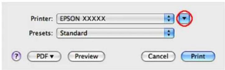 EPSON WorkForce Pro WP-4095 - Basic printer settings for Mac OS X 10.5 or 10.6 - 1