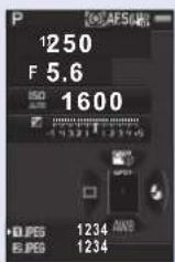 RICOH 645Z - 縦位置のとき - 1