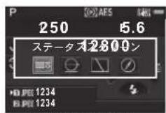 RICOH 645Z - 摄影時 - 5