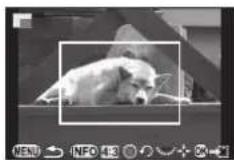 RICOH 645Z - トリミング - 1