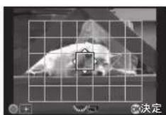 RICOH 645Z - AFエリアを指定 - 1