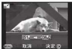 RICOH 645Z - リサイズ - 1
