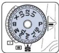 535 25 B P 24 TAX (0)