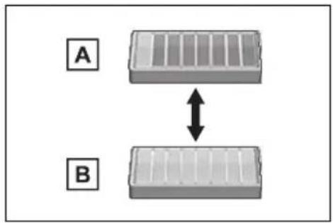 A B