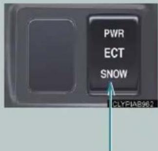 PWR ECT SNOW CLYPIAB982