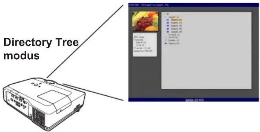Directory Tree modus