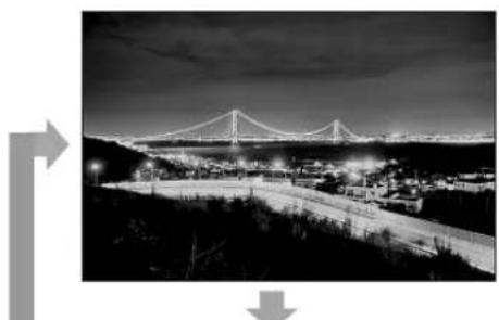 Nighttime black-and-white photo of a suspension bridge over a highway with illuminated streets and trees (no visible text or symbols)