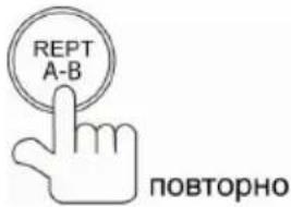 Prology MDD-722T - Повторное воспроизведение участка записи - 1