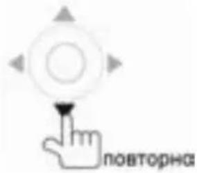 Prology MDD-7300T - Ускоренное воспроизведение в обратном направлении - 2
