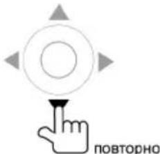 Prology MDN-1750T - Замедленное воспроизведение в прямом/обратном направлении - 1