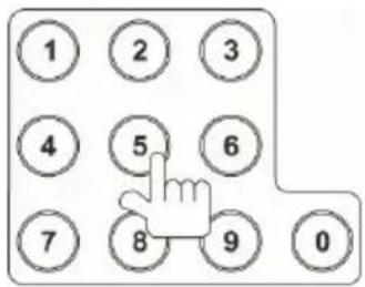 Prology MDN-2630T - Прямой выбор части или трека - 1