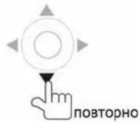Prology MDN-2650T - Ускоренное воспроизведение в обратном направлении - 2