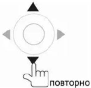 Prology MDN-2650T - Ручная настройка на радиостанцию - 2