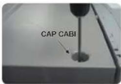 CAP CABI