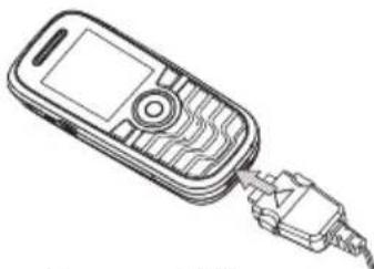 PHILIPS CTS660BLK - Mengisi baterai - 1