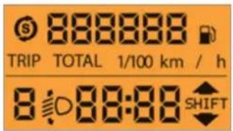 S 888888 TRIP TOTAL 1/100 km / h 8:00:00 SHIFT