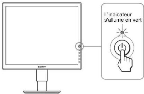 L'indicateur s'allume en vert