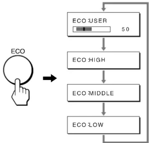 graph TD A["ECO"] --> B["ECO HIGH"] B --> C["ECO MIDDLE"] C --> D["ECO LOW"] D --> E["ECO USER 50"]
