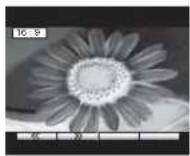 PANASONIC Viera TX-R20LA70 - 16:9 - 1