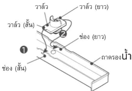 วิล้ว วิล้ว (ยาว) วิล้ว (สั้น) ช่อง (ยาว) ช่อง (สั้น) ภาครองน้ำ