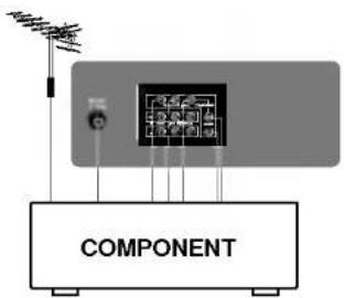 COMPONENT