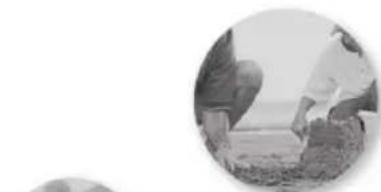 Two people crouching on a beach, one bending over the other's leg (no visible text or symbols)