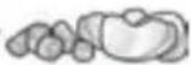 BOSCH ErgoMixx MSM66135GB - Looking for help? You'll find it here. - 54
