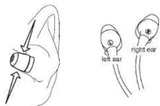 left ear right ear