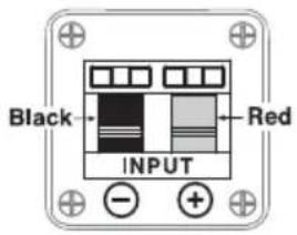 Black Red INPUT