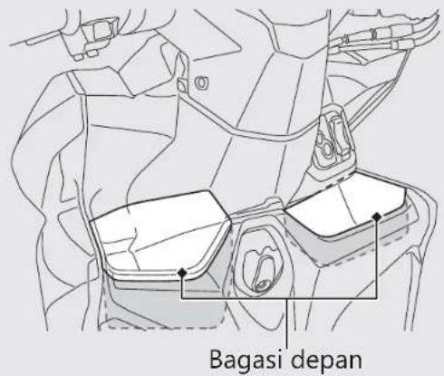 Bagasi depan