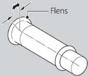Flens