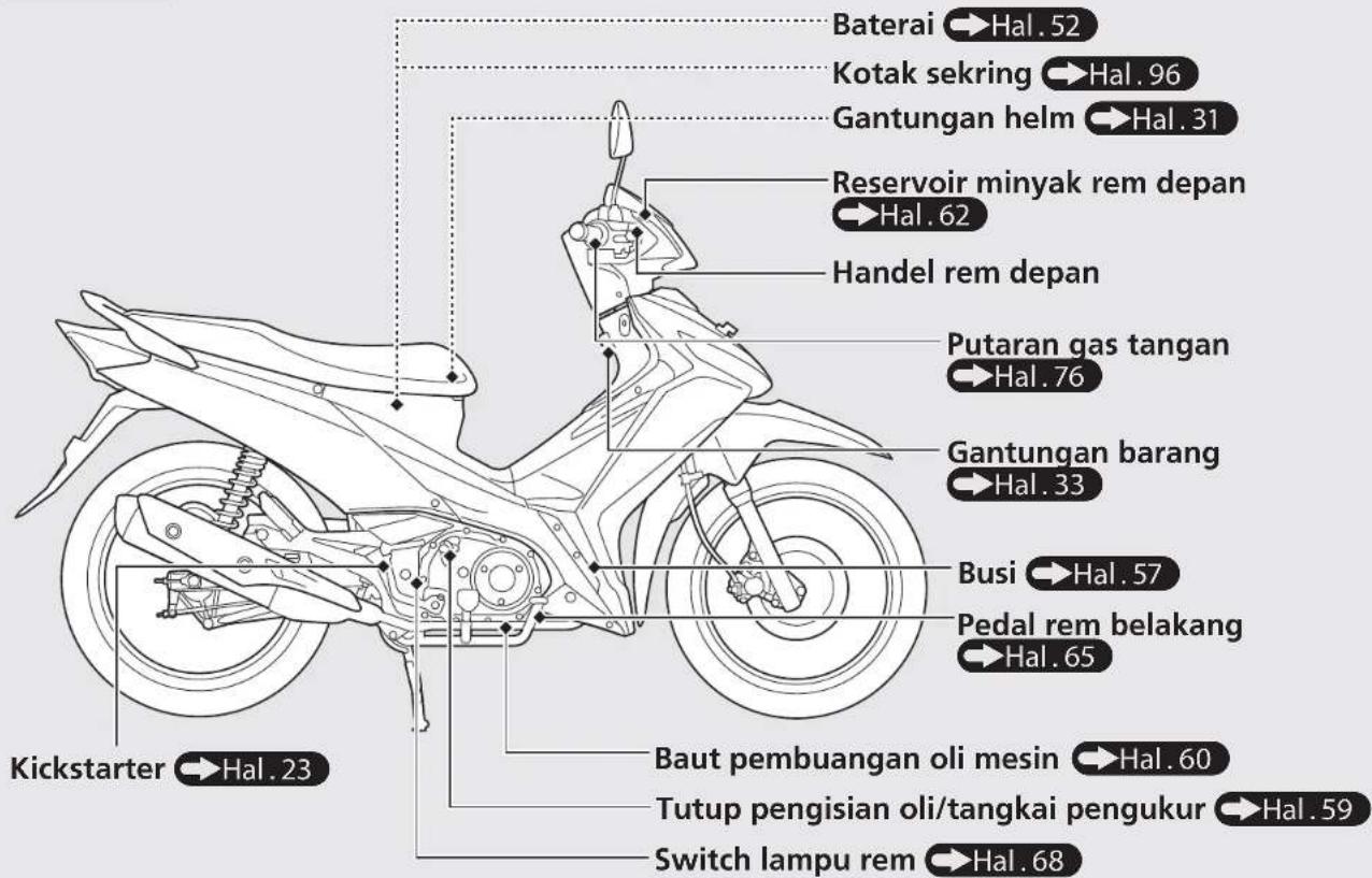 Baterai → Hal. 52 Kotak sekring → Hal. 96 Gantungan helm → Hal. 31 Reservoir minyak rem depan → Hal. 62 Handel rem depan Putaran gas tangan → Hal. 76 Gantungan barang → Hal. 33 Busi → Hal. 57 Pedal rem belakang → Hal. 65 Baut pembuangan oli mesin → Hal. 60 Tutup pengisian oli/tangkai pengukur → Hal. 59 Switch lampu rem → Hal. 68 Kickstarter → Hal. 23