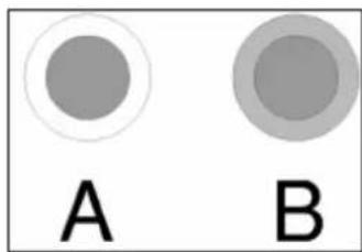 A B