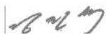 LG G262 - Supplementary Information - 1