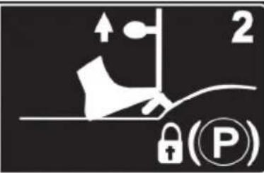 2 (P)