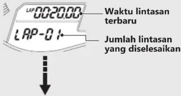 Waktu lintasan terbaru Jumlah lintasan yang diselesaikan