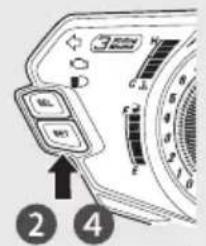 NO NO 2 4