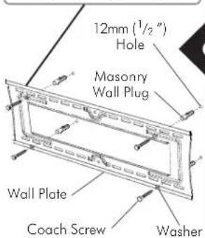 12mm (1/2") Hole Masonry Wall Plug Wall Plate Coach Screw Washer