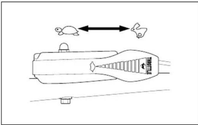 Diagram showing a turtle and a turtle interacting with a toothbrush, with directional arrows indicating movement or interaction.