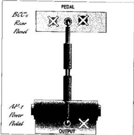 PEDAL BCCs Rear Panel AP-t Power Pedal OUTPUT