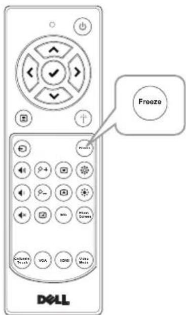 Freeze DOLL