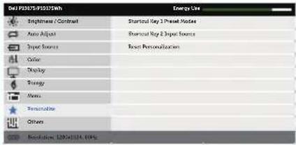 DELL P2017H - Preset Modes (Mode Preset) - 14