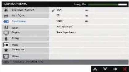 DELL P2017H - Auto Adjust (Penyesuaian Otomatis) - 2